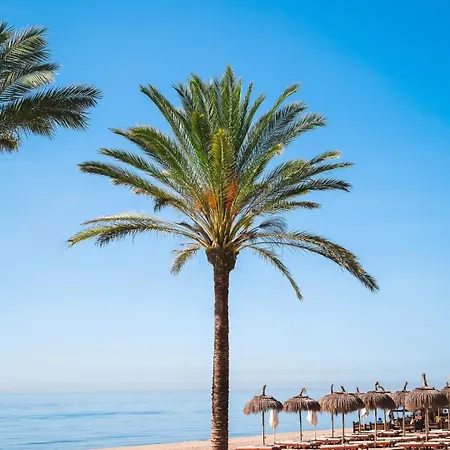 Denise Banus Marbella